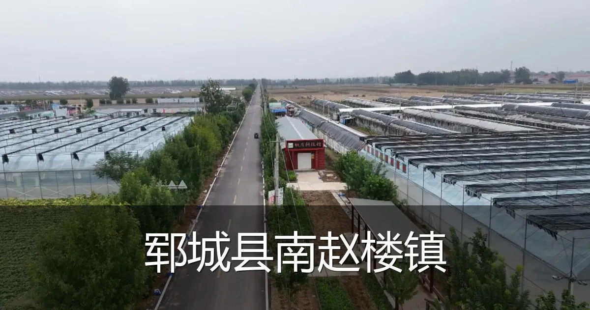 郓城县南赵楼镇