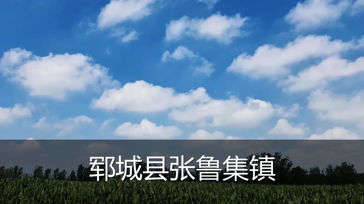 郓城县张鲁集镇