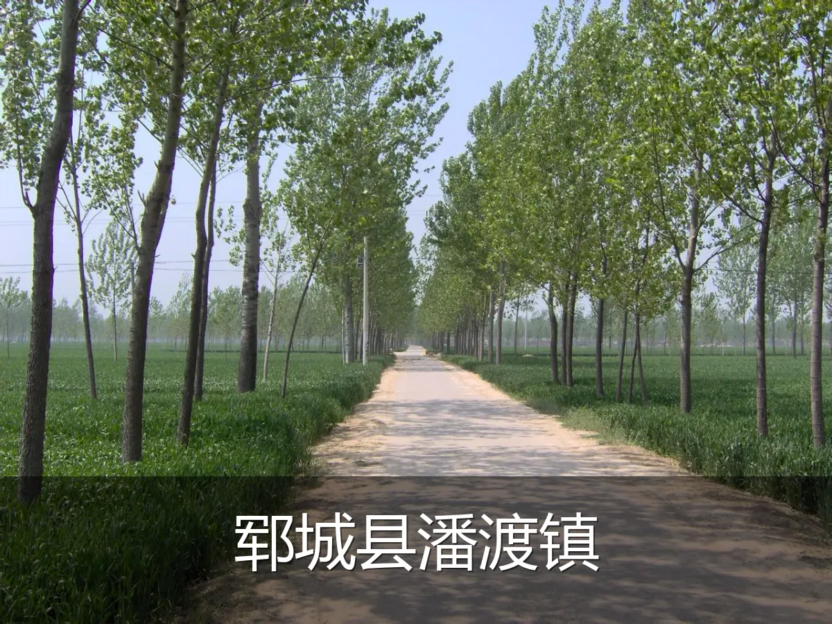 郓城县潘渡镇
