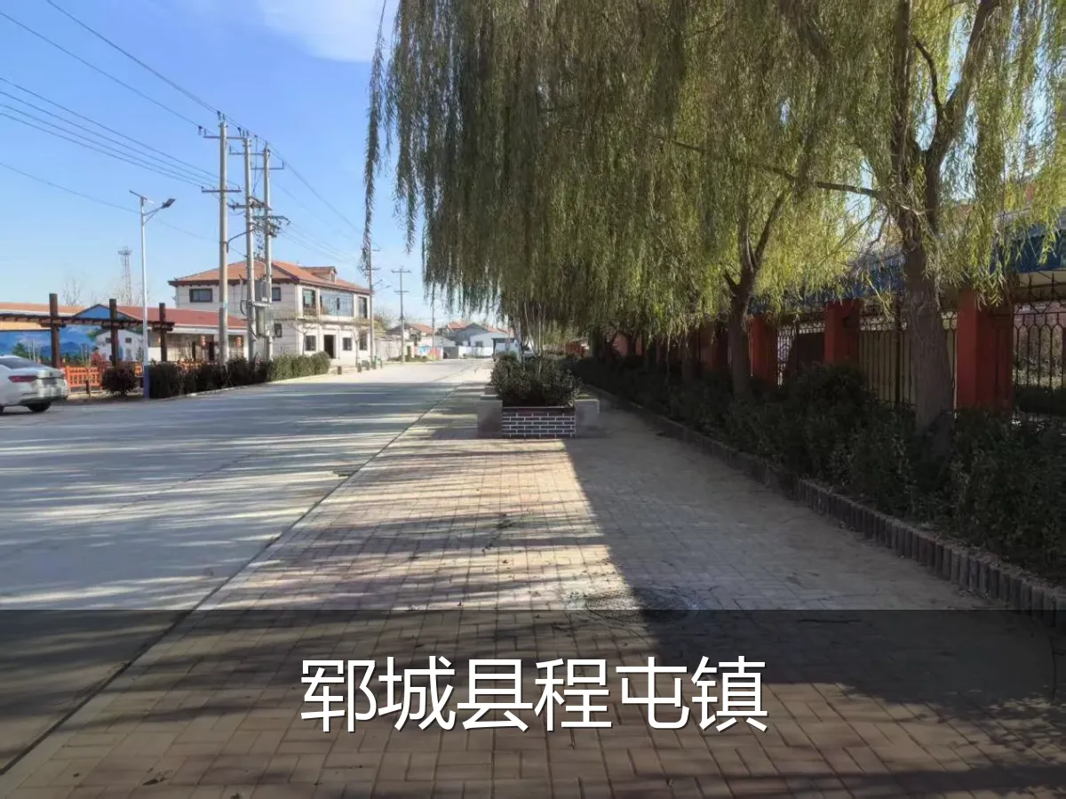 郓城县程屯镇